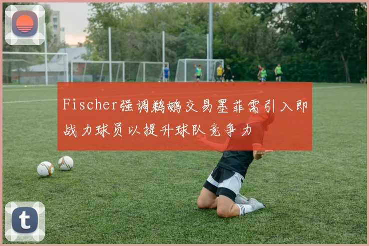 Fischer强调鹈鹕交易墨菲需引入即战力球员以提升球队竞争力
