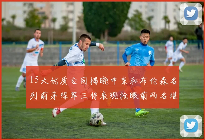 15大优质合同揭晓申京和布伦森名列前茅绿军三将表现抢眼前两名堪称传奇